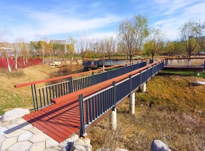 華山片區(qū)最新動(dòng)態(tài)，探尋自然美景，心靈寧?kù)o之旅