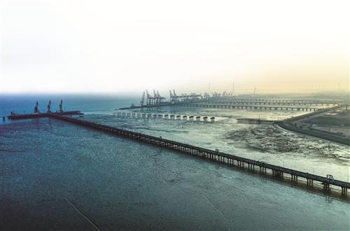 嘉興港區(qū)房價(jià)最新動(dòng)態(tài)與市場走勢分析