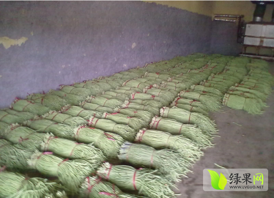 莘縣長(zhǎng)豆角最新價(jià)格行情揭秘，小巷深處的豆角盛宴