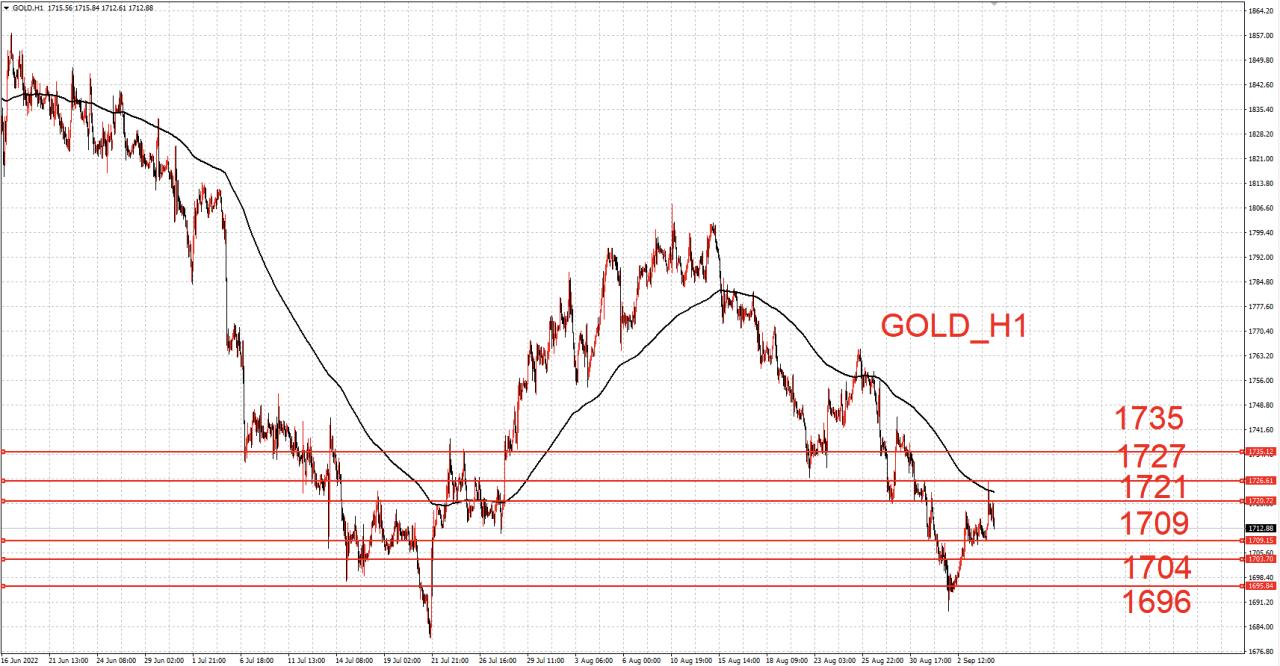 國際黃金基金持倉比例最新動(dòng)態(tài)與市場(chǎng)洞察分析