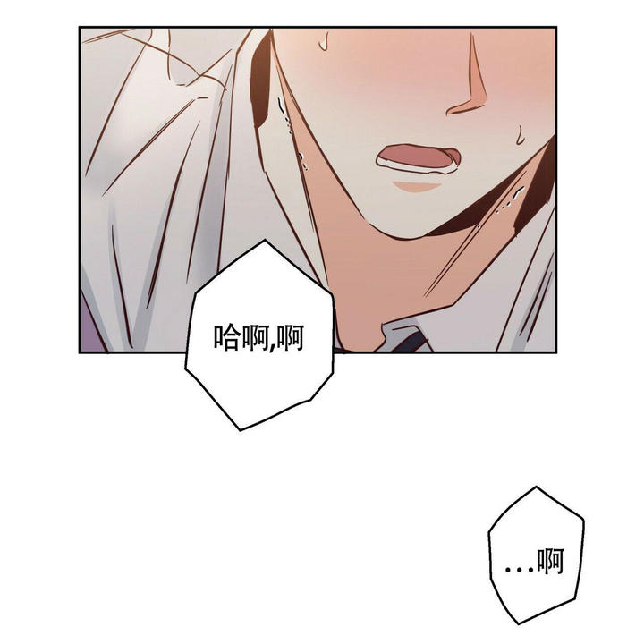 城市巷弄間的溫情日常，漫畫最新更新第155章