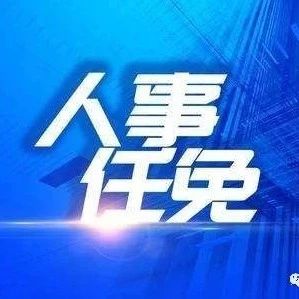 多維度視角下的官員巨永安最新任免審視