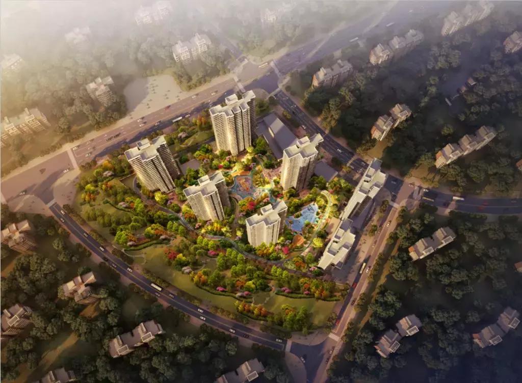 悅成美麗緹香最新公示，鄰里溫馨的日常生活揭秘