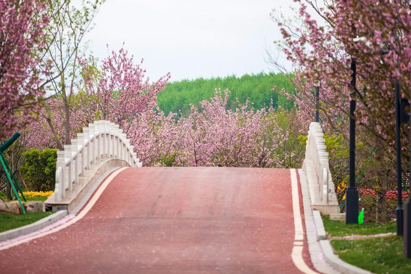 鹽城大洋灣最新動(dòng)態(tài)與相關(guān)論述概述