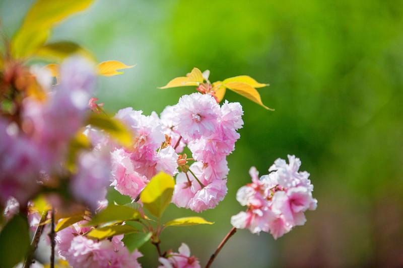 鹽城大洋灣最新動(dòng)態(tài)與相關(guān)論述概述