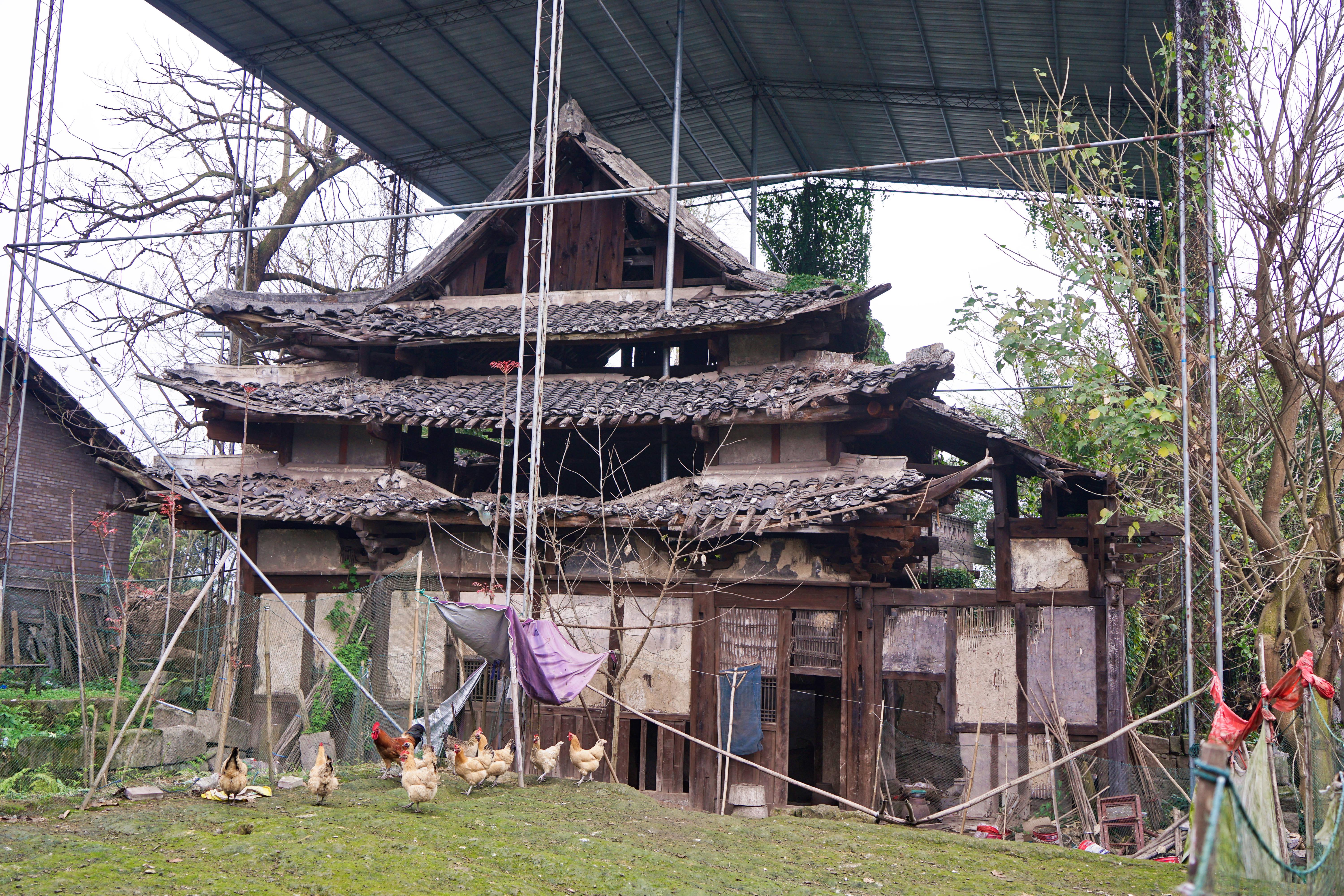 橫梁E田園最新動(dòng)態(tài)更新