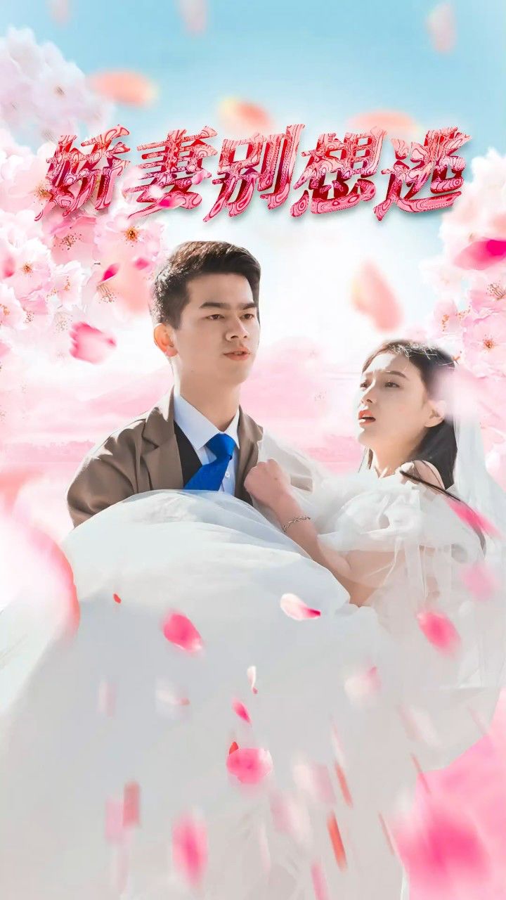 鮮妻不準(zhǔn)逃大結(jié)局最新深度探討，多維度視角下的分析