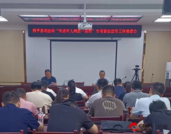 河南西平新聞最新動(dòng)態(tài)，小巷深處的獨(dú)特風(fēng)味