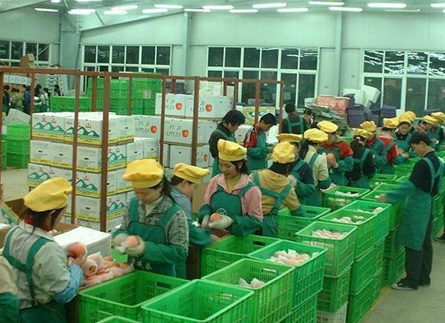 最新養(yǎng)雞場普工招聘啟事，攜手共創(chuàng)自信與成就，共啟勵志人生之旅