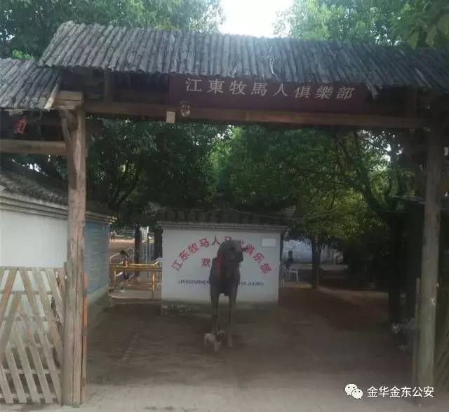 金東區(qū)孝順最新招聘及步驟指南