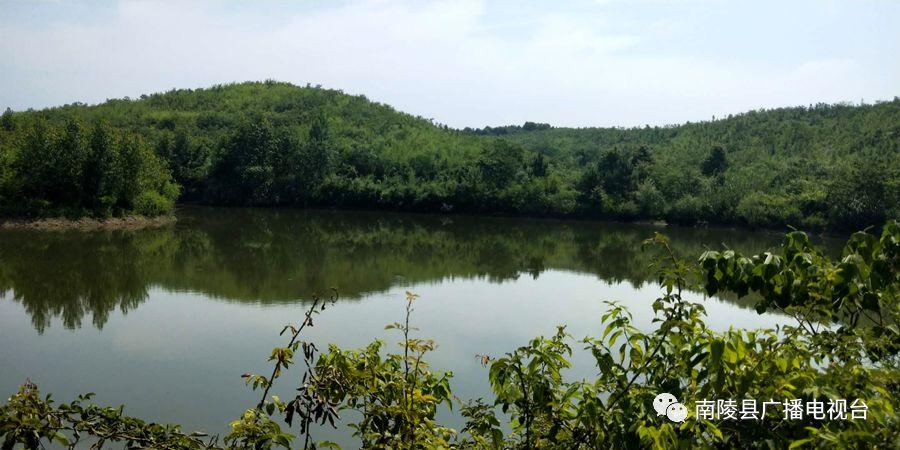 南陵何灣最新新聞圖片報道速遞