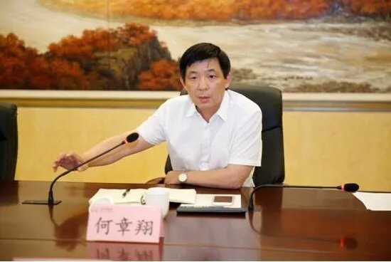 鎮(zhèn)江雷志強的最新任職，多維度視角下的深入探討