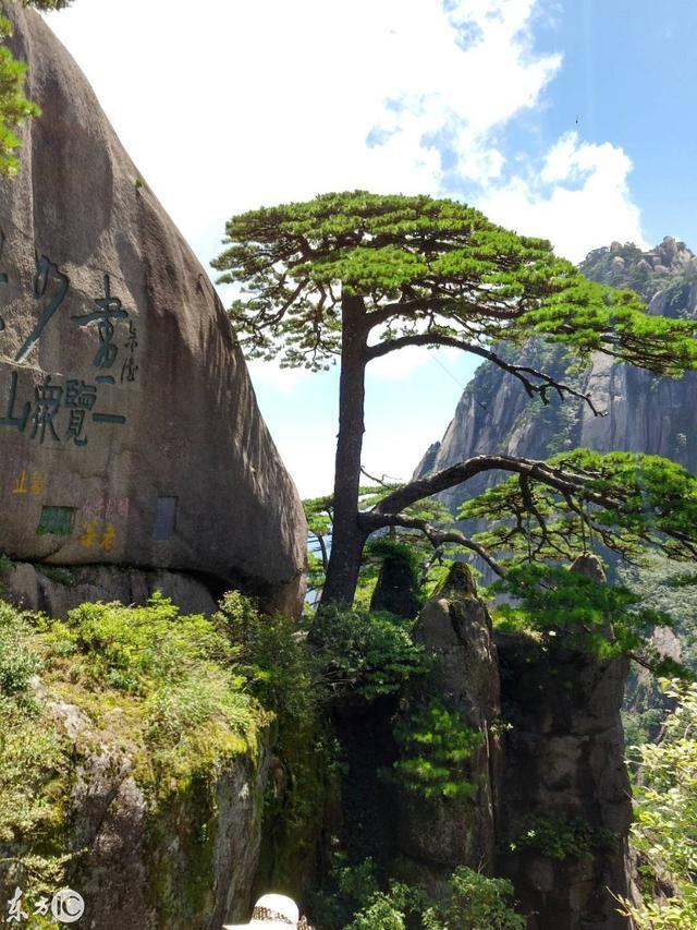 徽州復(fù)名的最新進展更新，動態(tài)了解復(fù)名進程